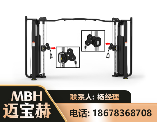鄂尔多斯大飞鸟训练器